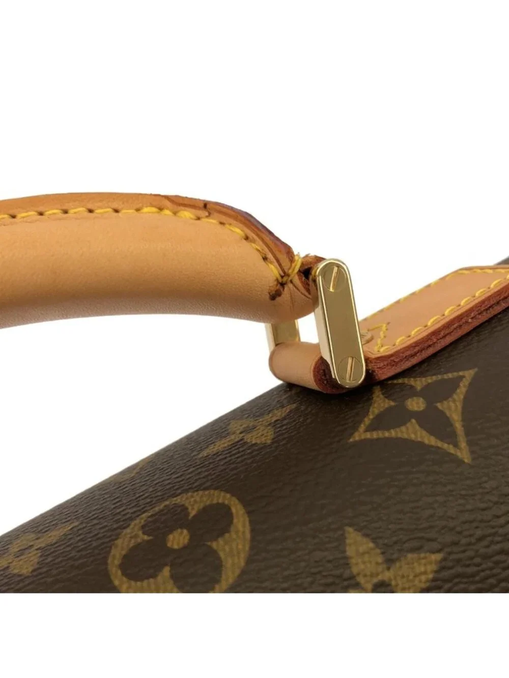 Louis Vuitton Monogram Robusto